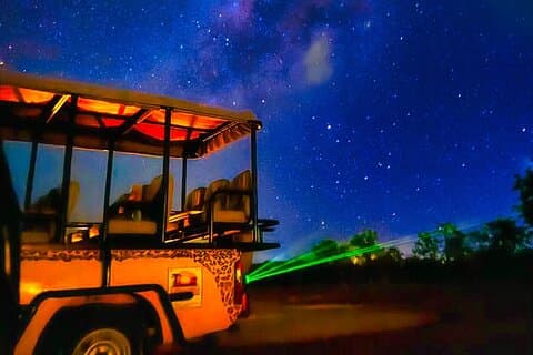 Safari notturno guidato in 4x4 – Scopri il cespuglio e le stelle *D-F-ES