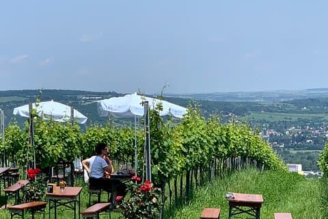 Private Viennese Nußberg Walking Tour with Wine Tasting