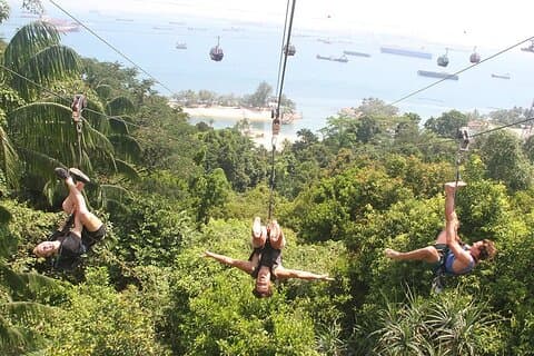 MegaZip bij Mega Adventure Park Singapore (toegangsbewijs)