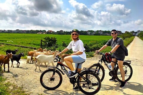 Hanoi: Excursão privada para Mua Caves, Família Local, Tam Coc & Hoa Lu