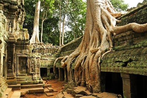 アンコール寺院と小グループ寺院のツアー