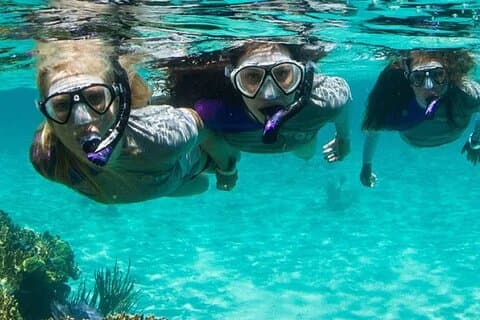 Guidad revsnorklingstur i Pompano Beach