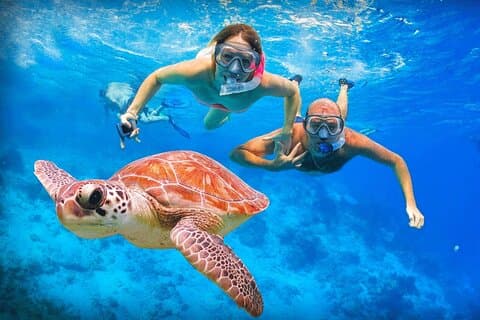 Tulum Turtle Encounter - La meilleure visite privée de tortues avec tuba