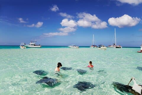 Private Tour Starfish Point, Stingray City, Coral Garden