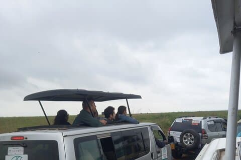 Safari de vida silvestre en el Parque Nacional de Nairobi