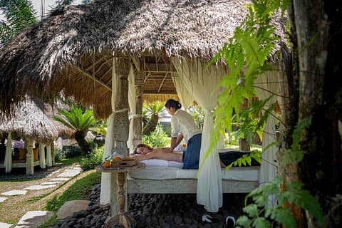 Spa på Flying Bamboo med spisning inkluderet hos botaniker