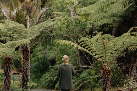 Expérience dans une ferme forestière autochtone nourrissant la nature à Auckland