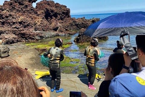 Jeju orientale: tour privato all inclusive con raccolta di mandarini