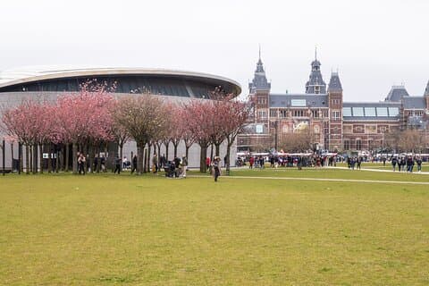 Privat omvisning Van Gogh-museet