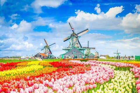 Tour privado a Zaanse Schans y Volendam: queso, molinos de viento, zuecos