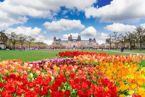 Van Gogh & Rijksmuseum