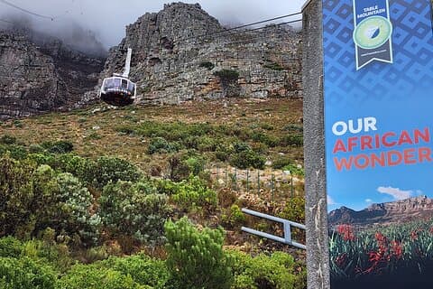 Table Mountain -Pinguini- Punta del Capo e kirstenbosch Prvt tour