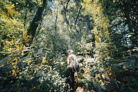 Caminhada na floresta tropical de Bali com canoagem e aventura na cachoeira