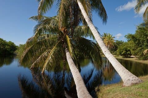 Private Tour Queen Elizabeth Botanic Park & Pedro St James Castle