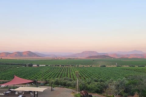 Private Valle Wine Experience: All Wine Tastings Included
