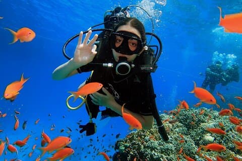 Einführung: Tauchen vom Riff in Sharm El Sheikh