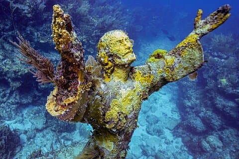 Excursion d'une demi-journée avec tuba à Key Largo Coral Reef