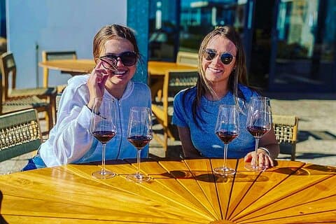 Visitez les vignobles de Constantia + les plages de Muzenberg Noordhoek F/D