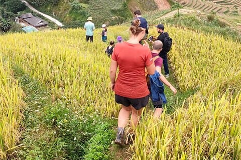 Journée complète Trekking privé Mu Cang Chai
