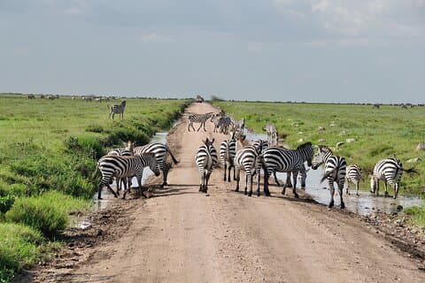 2 Dagen Kampeergroep die zich aansluit bij Tarangire Ngorongoro Krater Safari