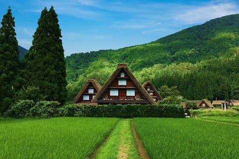 Tour di un giorno a Takayama e Shirakawa con pranzo a base di manzo Hida da Nagoya