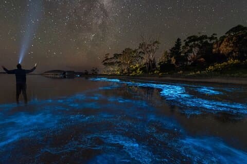 Florida Bioluminescent Kayak & Paddle Board äventyr