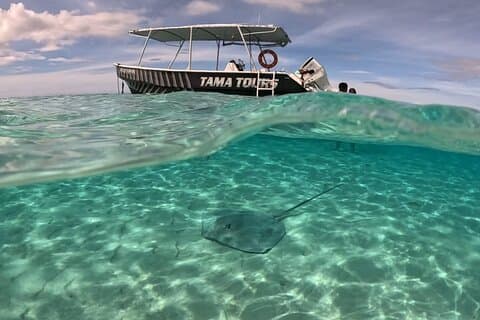 Laguneutforskning og snorkling i Moorea