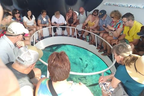 Oculus Glass Bottom Boat Tour