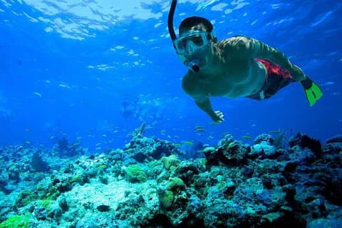 Snorkling: Ras Mohamed & White Island med lunsj og drikke