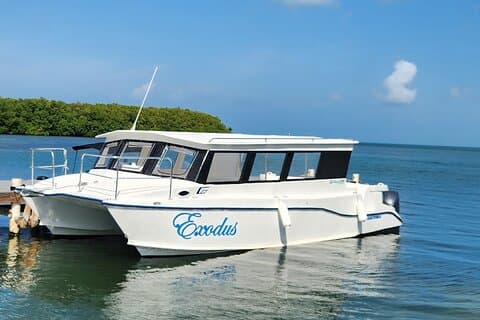 Incontro con stelle marine ed esplorazione di mangrovie a Grand Cayman