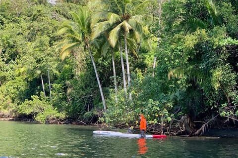 Tour door de mangrove in Stand Up Paddle of Kayak
