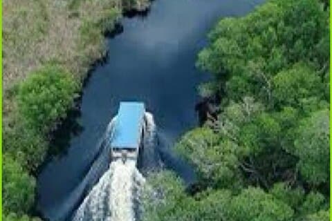 Black River Safari guidad tur och YS Falls Tour
