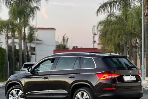 Hire a private driver for airport service and custom city tours