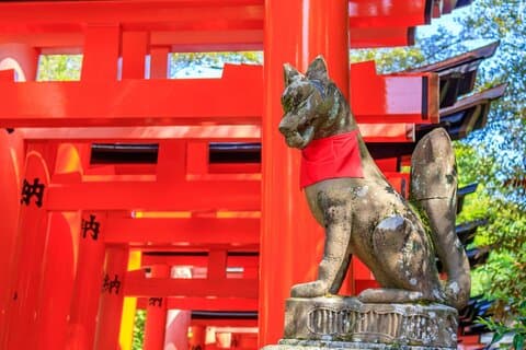 Fushimi Inari Deep Shinto Shrine Tour enquanto caminha com especialista