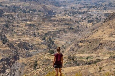 2-dagers utflukt til Colca Canyon med transport til Puno