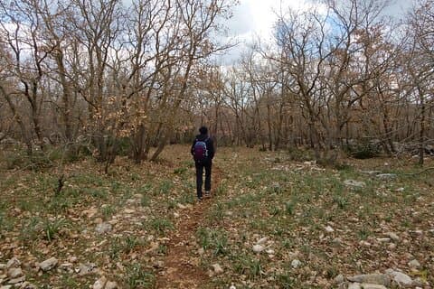 Path of the 2 monumental oaks and the almond of Quasano