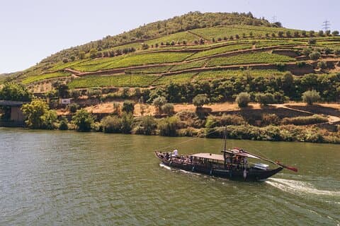 Douro Valley: Rabelo Boat Tour with Port Wine & Audio Guide