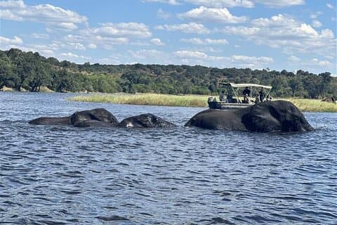 The Chobe Safari Day trip from Livingstone