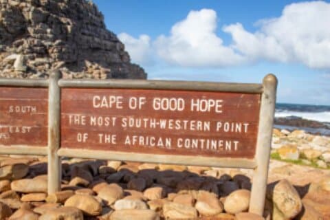Privat halvdagstur på Cape Peninsula
