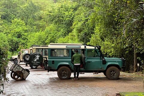 Tanzania Safari Tour