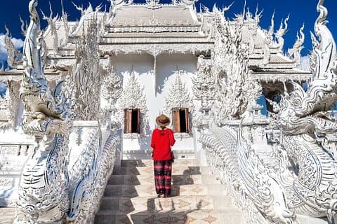Chiang Rai White, Blue Temple, Black House Museum Hot Spring Tour