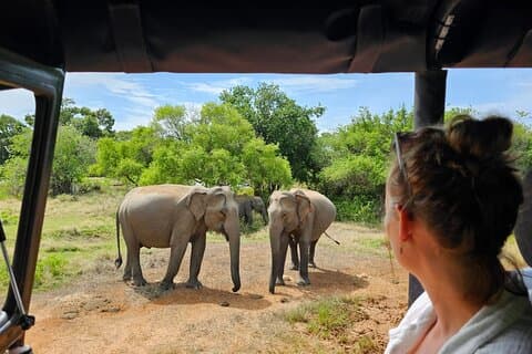 Safari privé en soirée au parc national d'Uda Walawe en Jeep