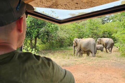 Matin Safari privé au parc national Udawalawa par Yala La Safari Tours