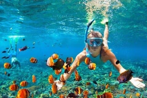 Snorkeling et visite privée à Montego Bay