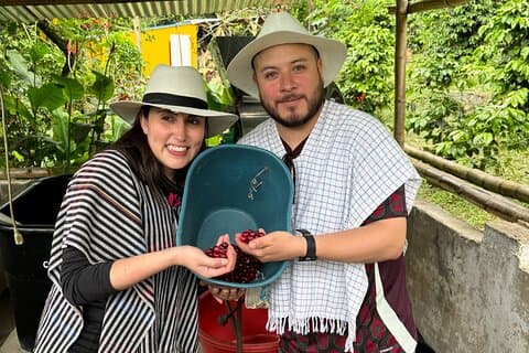 Coffee Tour