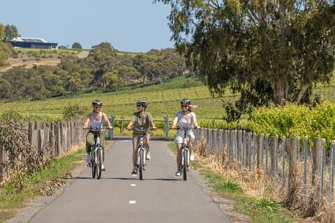 Entdecken Sie McLaren Vale auf eBikes – ganztägig