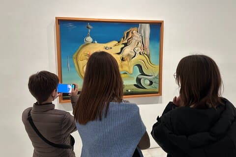 Madrid Reina Sofia Museum Privérondleiding voor kinderen en gezinnen