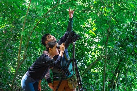 Caminhada guiada pela Reserva da Floresta Nublada de Monteverde