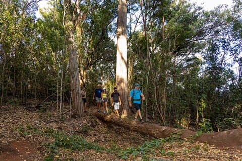 Palehua-wandeling en snorkelen in West O'ahu