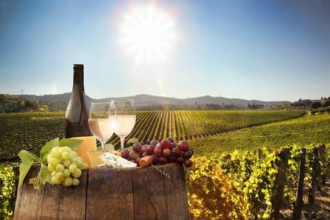 Visite privée des vignobles du Cap : Stellenbosch & Franschhoek